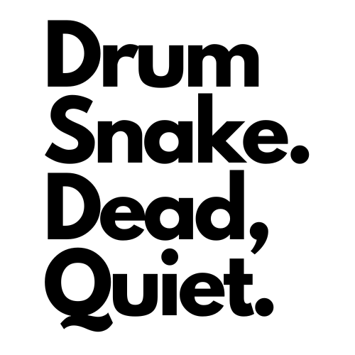 Drum Snake Logo