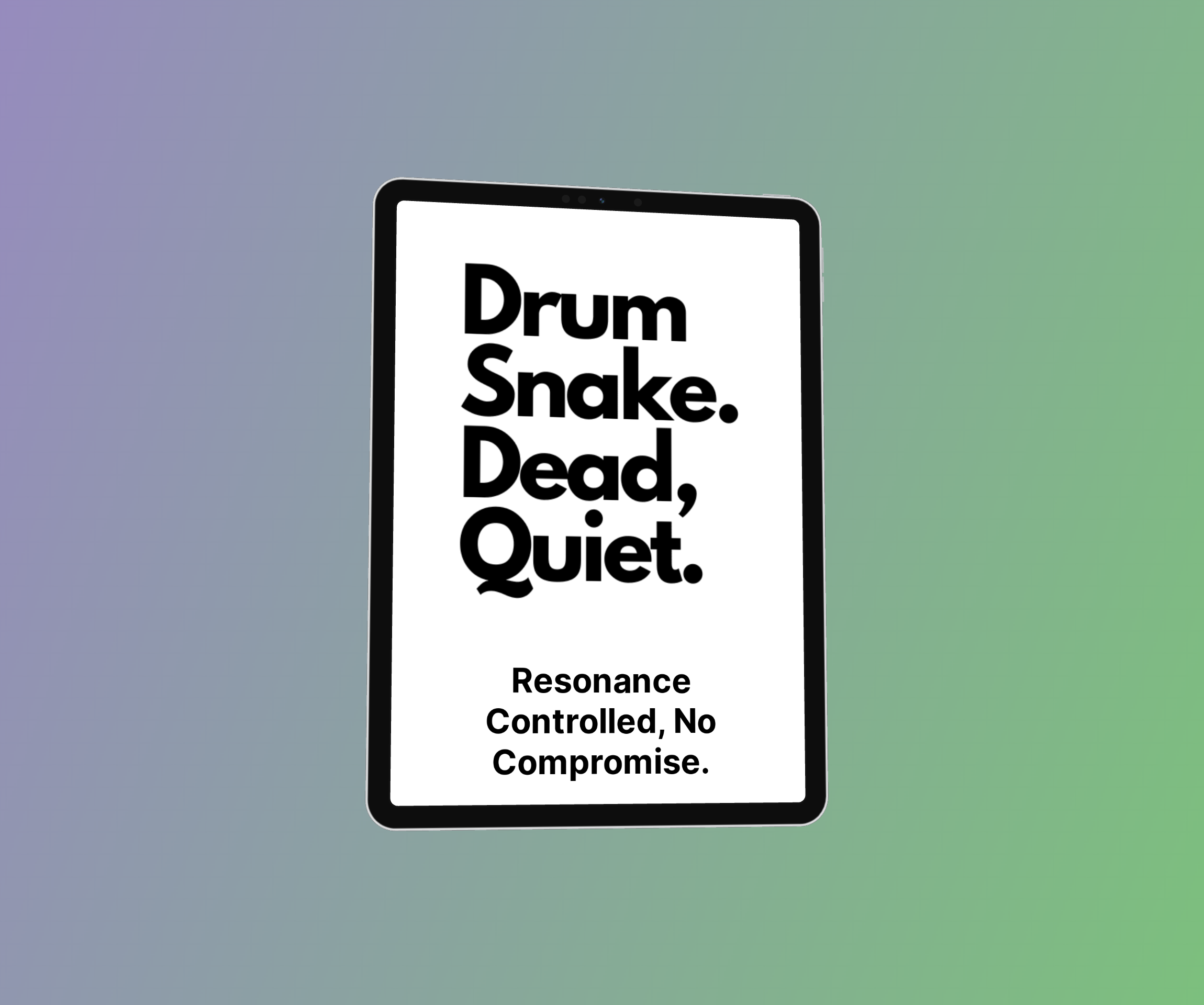 Drum Snake Website Mockup